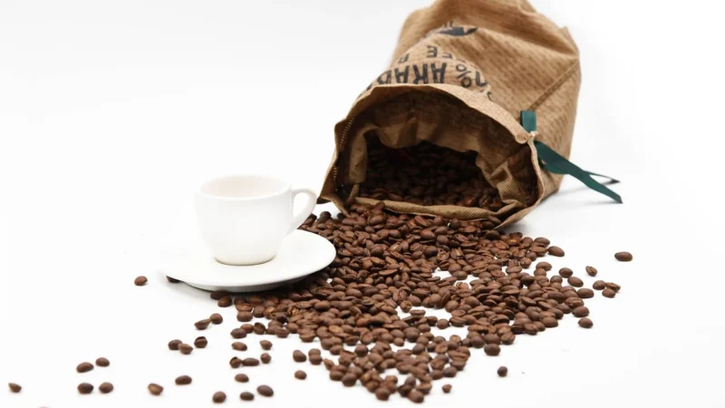 Ale’Eko CAFÉ Kawa Ziarnista Indonezja BIO 500g Coffee for Life