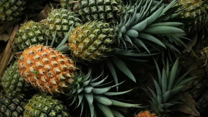 Batonik 96% ananas 4% marakuja Tropicks 20g