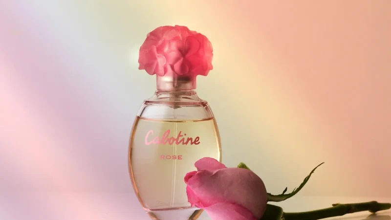 Beyonce Heat Rush Woda Toaletowa 100Ml