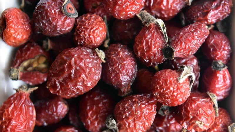 Biooil Olej Z Awokado Tłoczony Na Zimno Nierafinowany Bio 250ml
