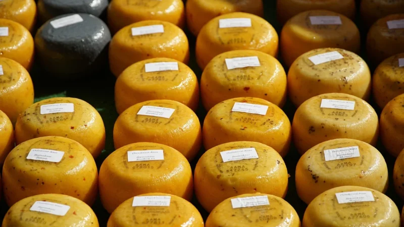 Frico Ser Mimolette