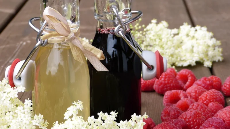 Herbapol Syrop Malina z dziką różą