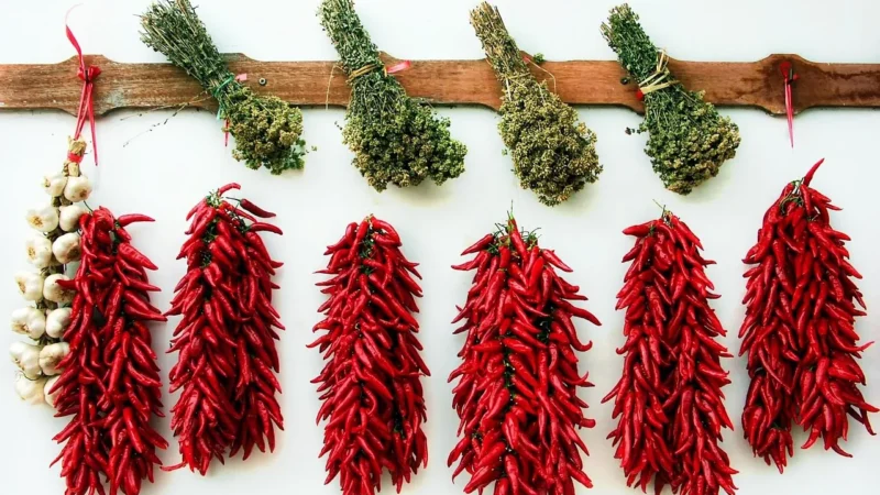 Oregano Liść Lebiodka Pospolita 500g