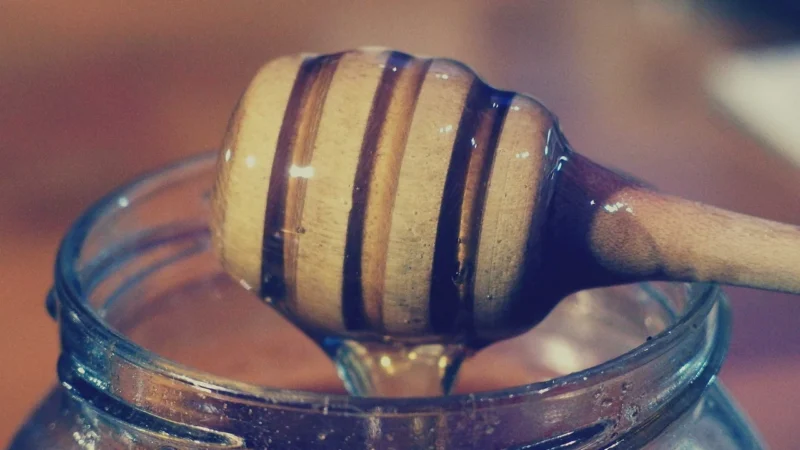 Pasieka Pucer Miód Nektarowy Lipowy Bio 250g