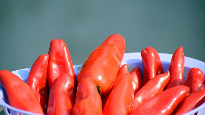 Pieprz cayenne