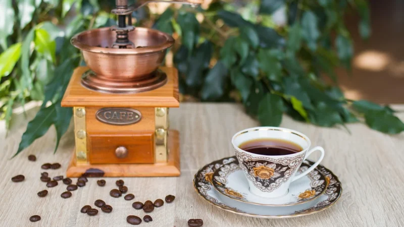 SANTE Fit Ciasteczka Zbożowe z Żurawiną bez cukru 50 g