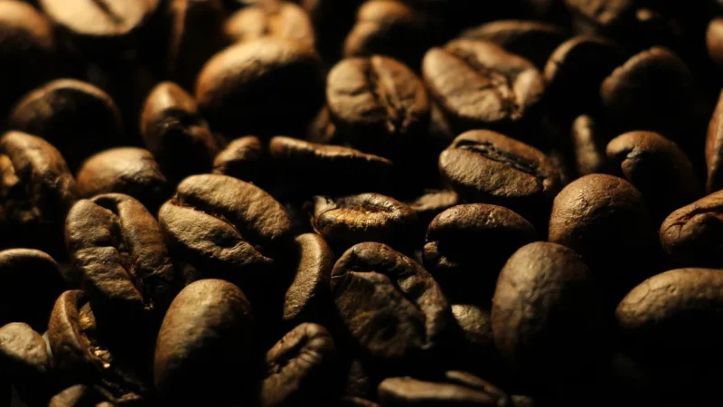 Sapore Di Sole Bio Chleb Białkowy Bez Mąki
