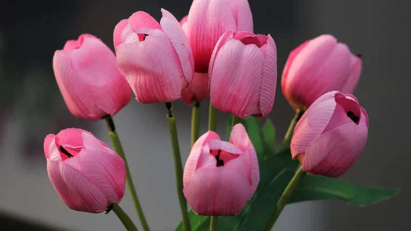 Zainspiruj się pięknem sztucznej florystyki w aranżacjach wnętrz i prezentach