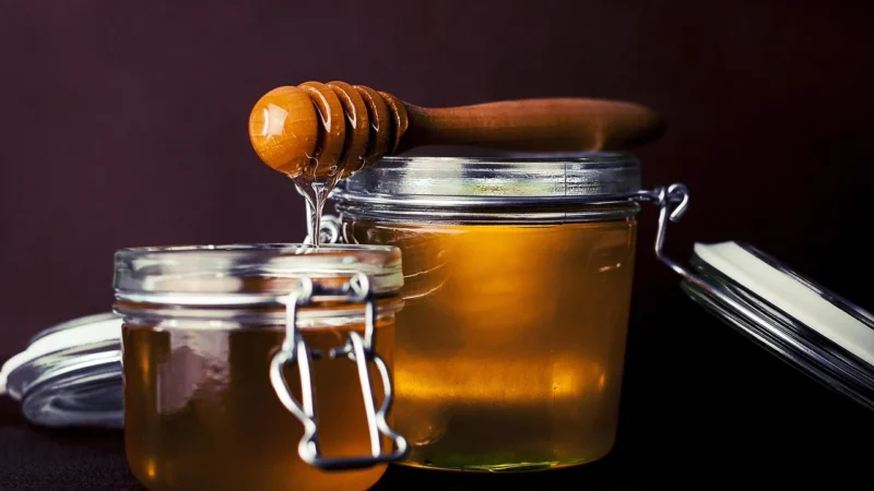 Zestawienie miodów smakowych: Odkryj różnorodność naturalnych aromatów